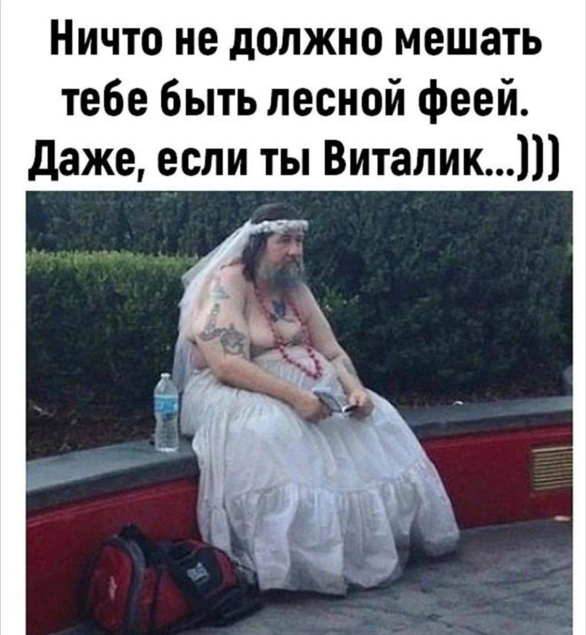 Ничто не должно мешать тебе быть лесной феёй. Даже, если ты Виталик...)))