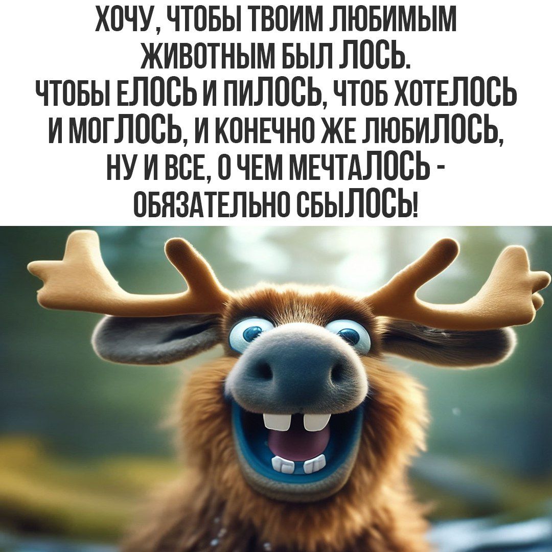 ХОЧУ, ЧТОБЫ ТВОИМ ЛЮБИМЫМ ЖИВОТНЫМ БЫЛ ЛОСЬ. ЧТОБЫ ЕЛОСЬ И ПИЛОСЬ, ЧТОБ ХОТЕЛОСЬ И МОГЛОСЬ, И КОНЕЧНО ЖЕ ЛЮБИЛОСЬ, НУ И ВСЕ, О ЧЕМ МЕЧТАЛОСЬ - ОБЯЗАТЕЛЬНО СБЫЛОСЬ!