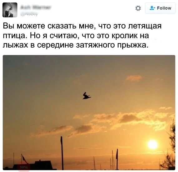 Вы можете сказать мне, что это летящая птица. Но я считаю, что это кролик на лыжах в середине затяжного прыжка.