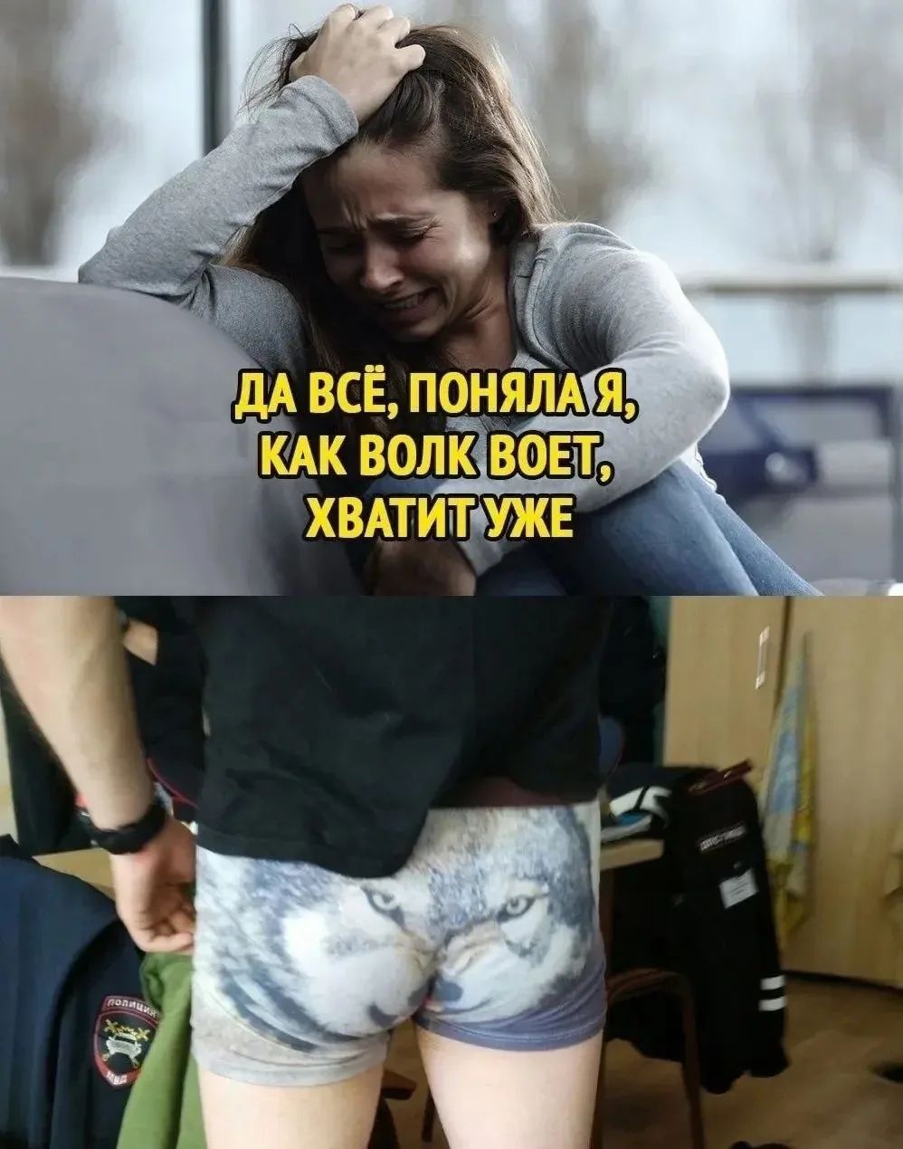 ДА ВСЁ, ПОНИЛА Я, КАК ВОЛК ВОЕТ, ХВАТИТ УЖЕ