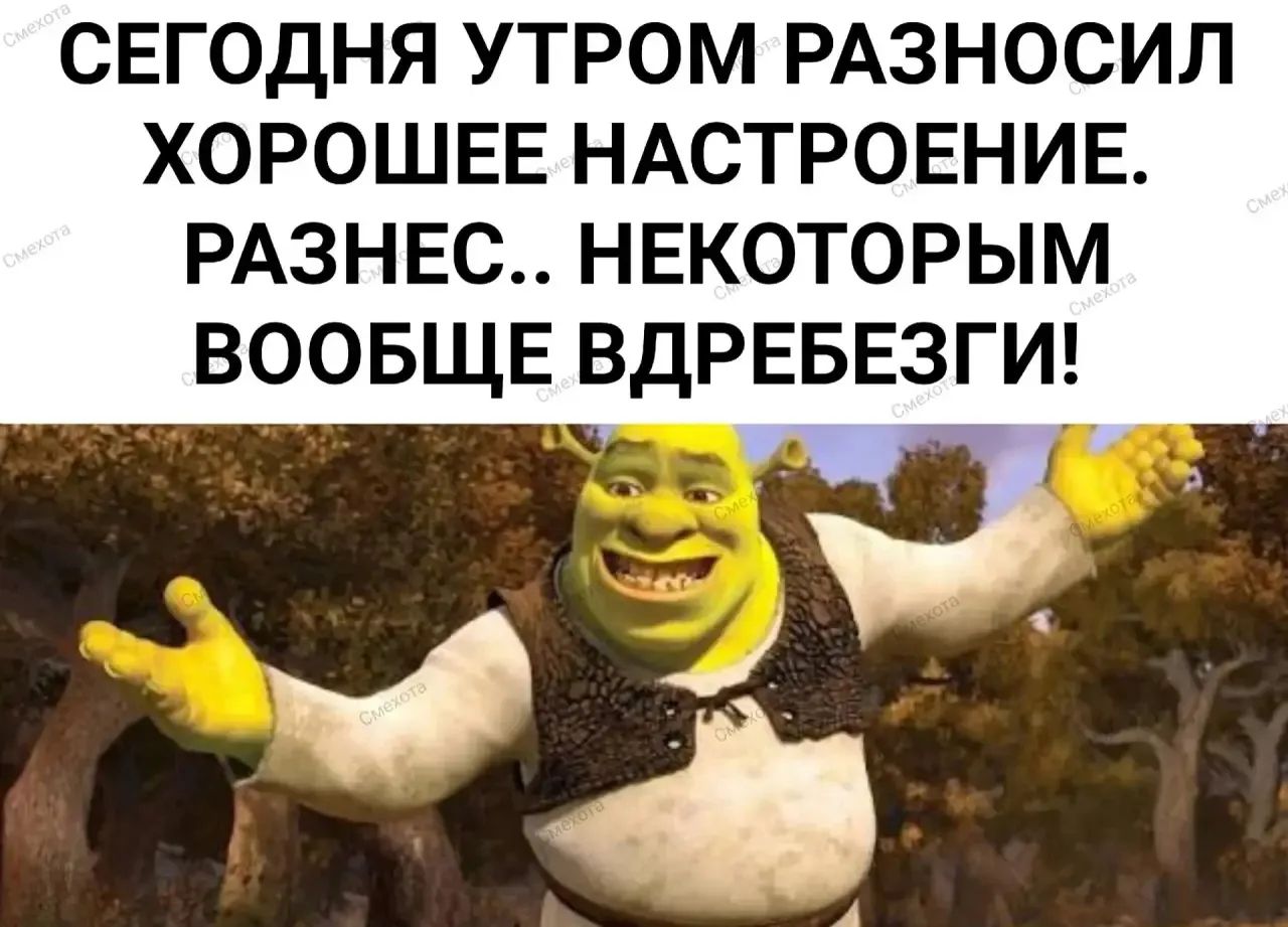 СЕГОДНЯ УТРОМ РАЗНОСИЛ ХОРОШЕЕ НАСТРОЕНИЕ. РАЗНЕС... НЕКОТОРЫМ ВООБЩЕ ВДРЕБЕЗГИ!