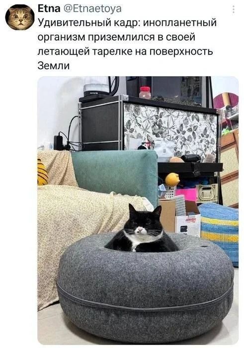 Удивительный кадр: инопланетный организм приземлился в своей летающей тарелке на поверхность Земли