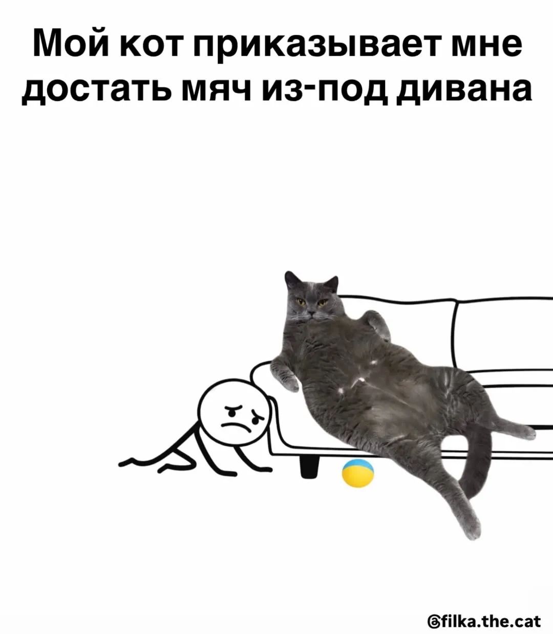 Мой кот приказывает мне достать мяч из-под дивана