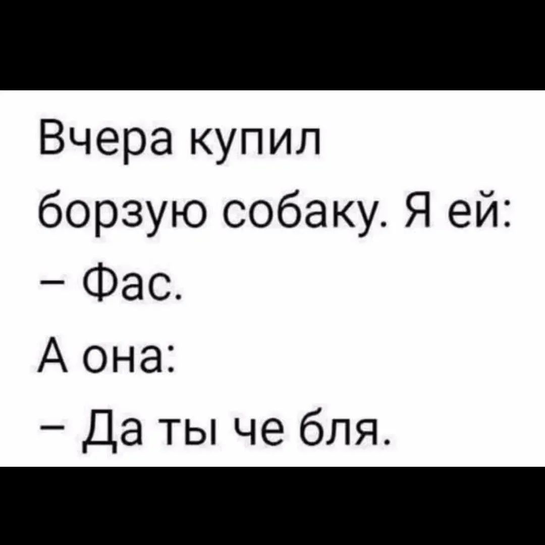 Вчера купил борзую собаку. Я ей: - Фас. А она: - Да ты че бля.