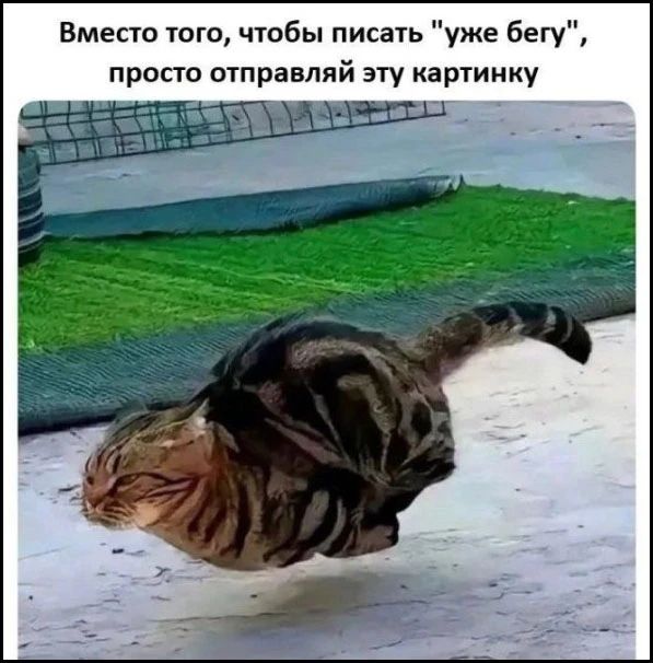 Вместо того, чтобы писать 