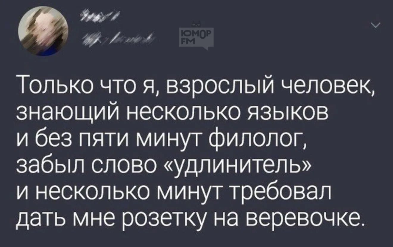 Только что я, взрослый человек, знающий несколько языков и без пяти минут филолог, забыл слово «удлинитель» и несколько минут требовал дать мне розетку на веревочке.