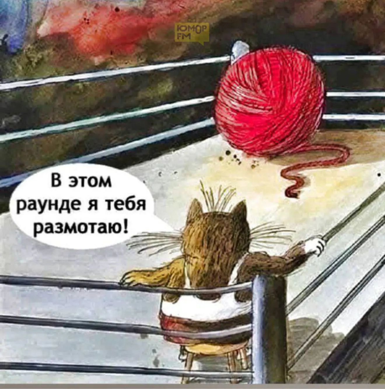 В этом раунде я тебя размоту!