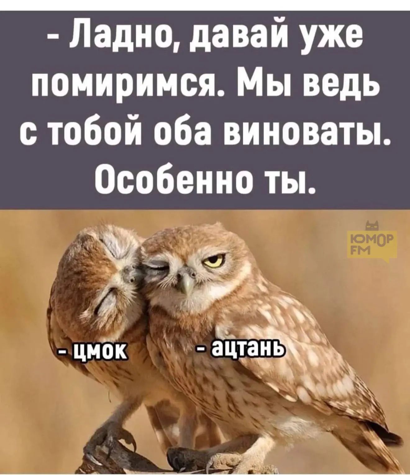 - Ладно, давай уже помиримся. Мы ведь с тобой оба виноваты. Особенно ты.
- цмок
- ацтань