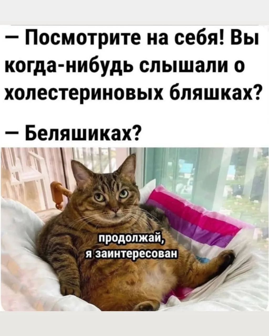 — Посмотрите на себя! Вы когда-нибудь слышали о холестериновых бляшках?\n— Беляшиках?\nпродолжай, я заинтересован