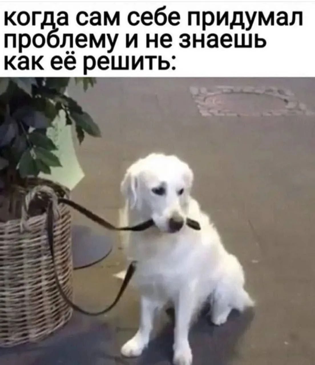 когда сам себе придумал проблему и не знаешь как её решить: