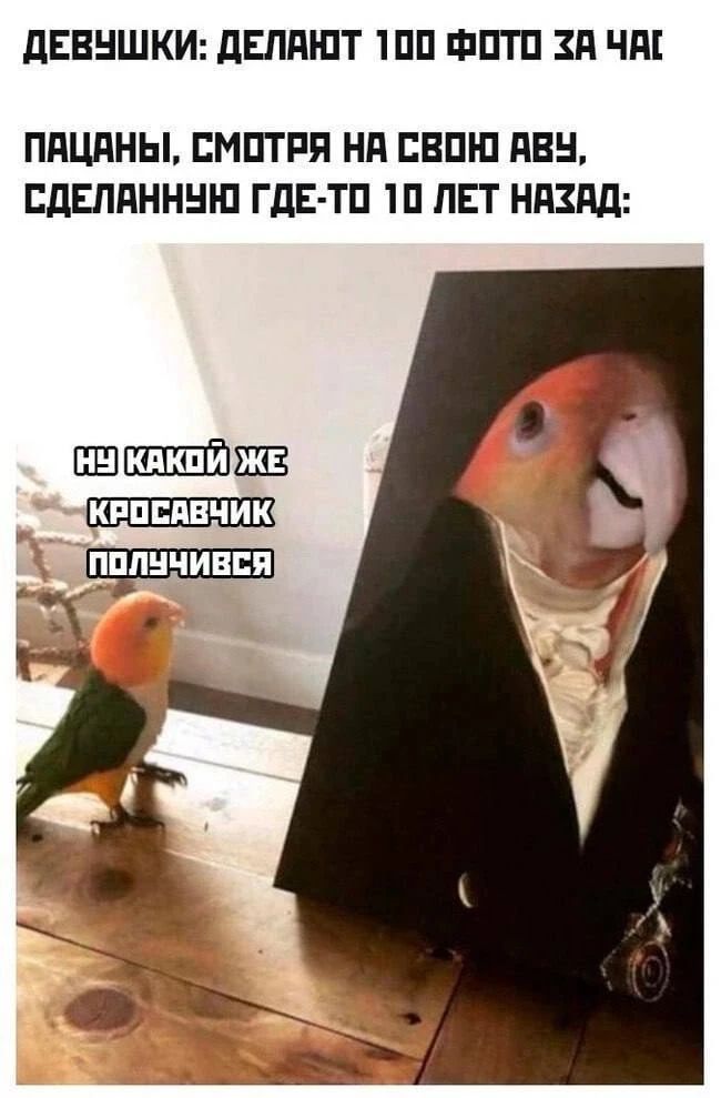 ДЕВУШКИ: ДЕЛАЮТ 100 ФОТО ЗА ЧАС
ПАЦАНЫ, СМОТРЯ НА СВОЮ ОБУ, СДЕЛАННУЮ ГДЕ-ТО 10 ЛЕТ НАЗАД:
НИ КАКОЙ ЖЕ КРАСОВЧИК ПОЛУЧИЛСЯ