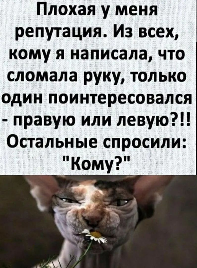 Плохая у меня репутация. Из всех, кому я написала, что сломала руку, только один поинтересовался - правую или левую?!! Остальные спросили: 