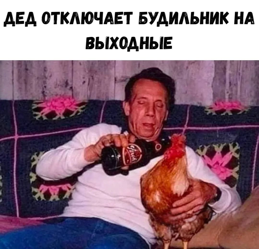 ДЕД ОТКЛЮЧАЕТ БУДИЛЬНИК НА ВЫХОДНЫЕ