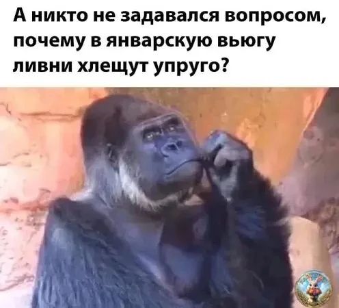 А никто не задавался вопросом, почему в январскую вьюгу ливни хлешут упругого?