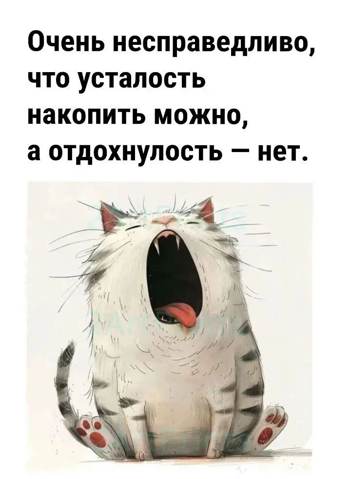 Очень несправедливо, что усталость накопить можно, а отдохнуть — нет.