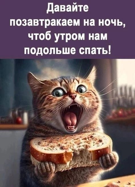 Давайте позавтракаем на ночь, чтобы утром нам подолше спать!