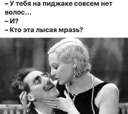У тебя на пиджаке совсем нет волос... -И? -Кто эта лысая мразь?