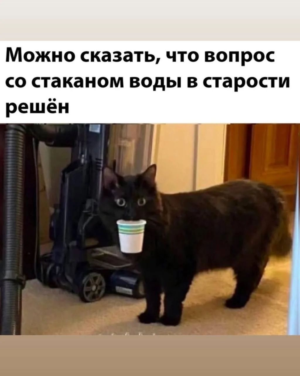 Можно сказать, что вопрос со стаканом воды в старости решён