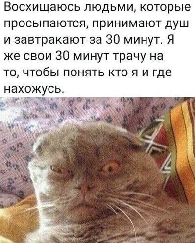 Восхищаюсь людьми, которые просыпаются, принимают душ и завтракают за 30 минут. Я же свои 30 минут трачу на то, чтобы понять кто я и где нахожусь.