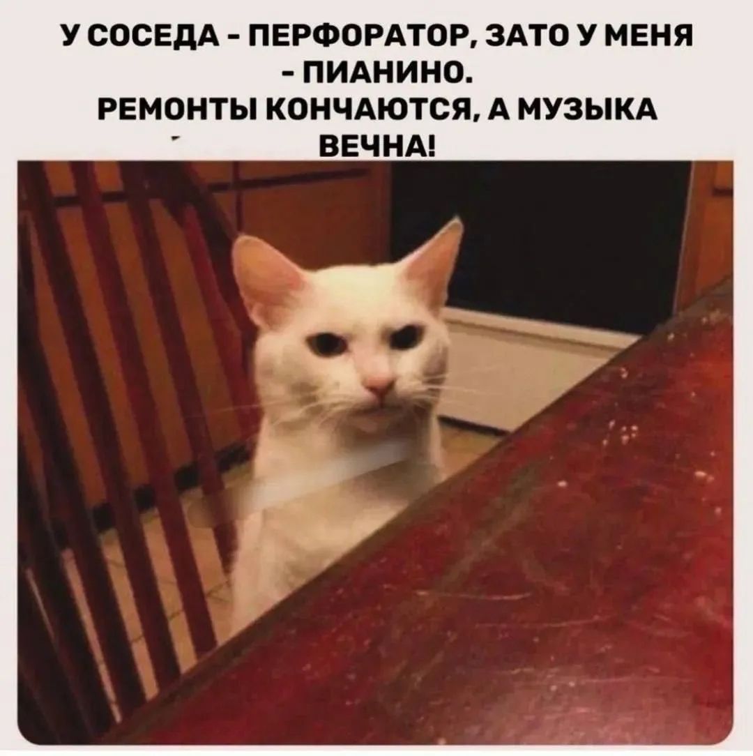 У соседа - перфоратор, зато у меня - пианино. Ремонт заканчиваются, а музыка вечна!