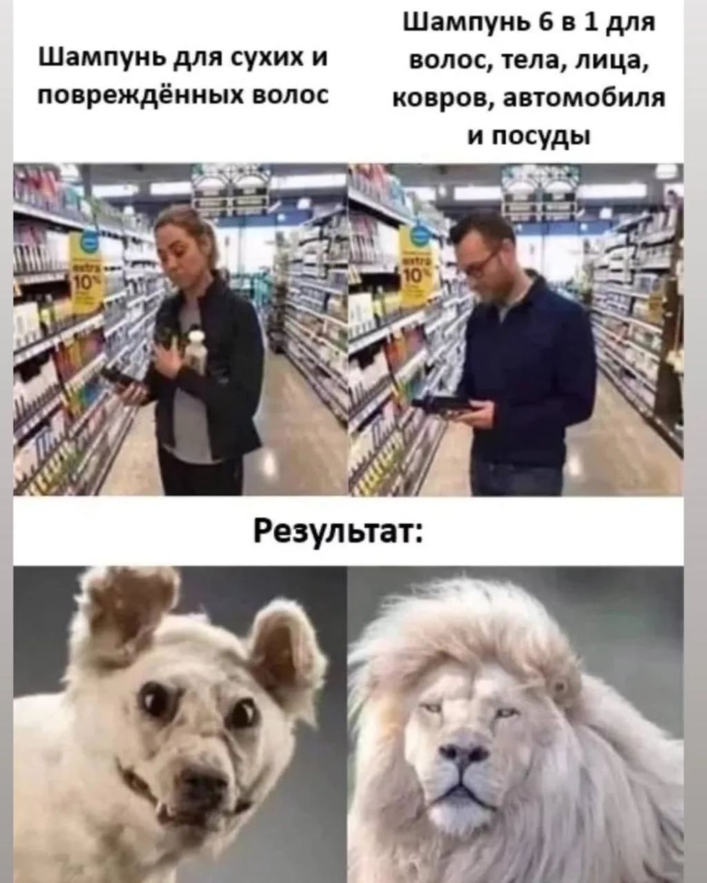 Шампунь для сухих и повреждённых волос Шампунь 6 в 1 для волос, тела, лица, ковров, автомобиля и посуды Результат: