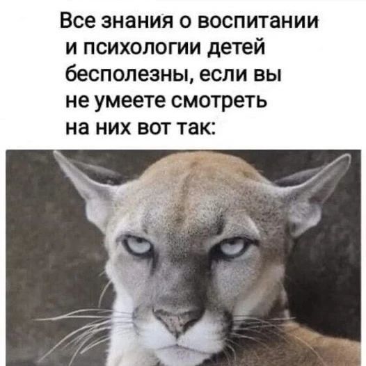 Все знания о воспитании и психологии детей бесполезны, если вы не умеете смотреть на них вот так: