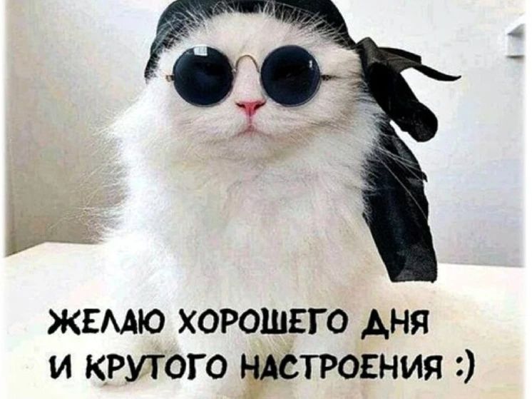 ЖЕЛАЮ ХОРОШЕГО ДНЯ И КРУТОГО НАСТРОЕНИЯ :)