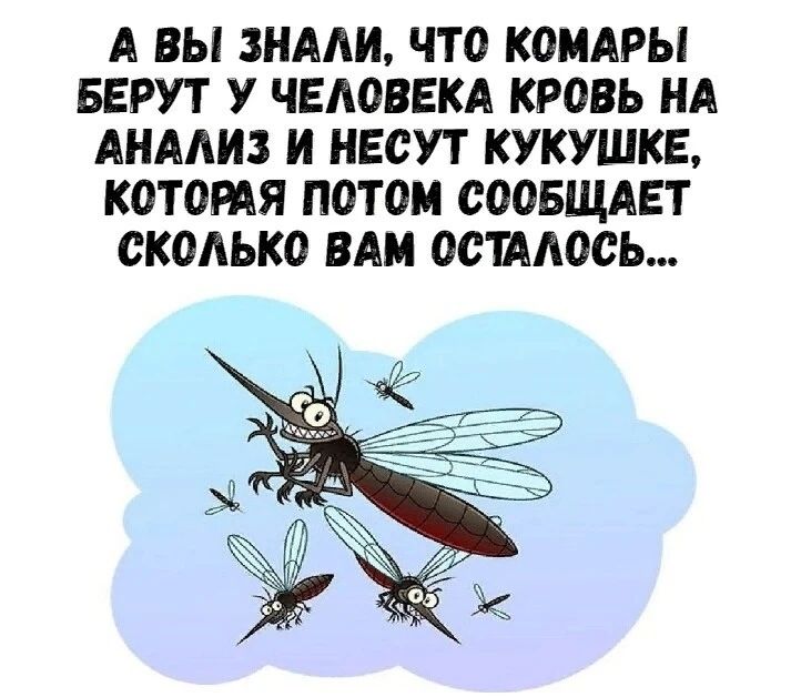 А ВЫ ЗНАЛИ, ЧТО КОМАРЫ БЕРУТ У ЧЕЛОВЕКА КРОВЬ НА АНАЛИЗ И НЕСУТ КУКУШКЕ, КОТОРАЯ ПОТОМ СООБЩАЕТ СКОЛЬКО ВАМ ОСТАЛОСЬ...