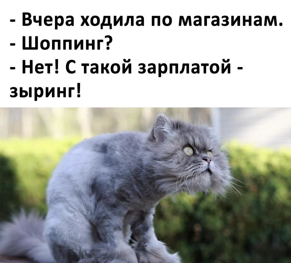 Вчера ходила по магазинам. Шоппинг? Нет! С такой зарплатой - зыринг!