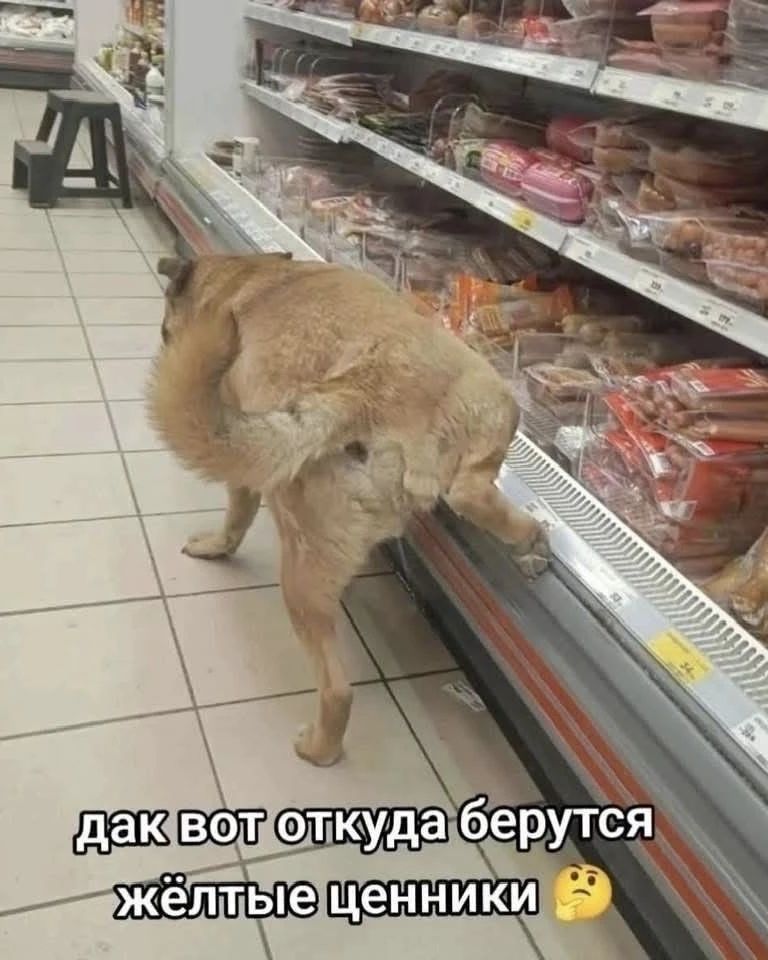 дак вот откуда берутся жёлтые ценники 🤔