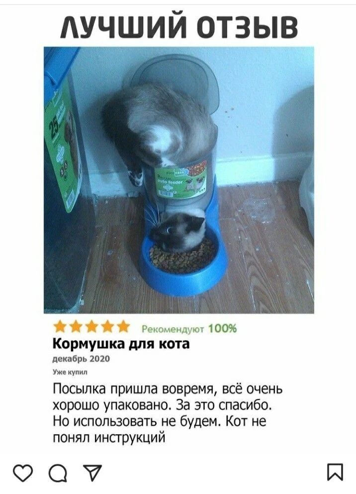 ЛУЧШИЙ ОТЗЫВ. Кормушка для кота. декабрь 2020. Уже купил. Посылка пришла вовремя, всё очень хорошо упаковано. За это спасибо. Но использовать не будем. Кот не понял инструкций. Рекомендуют 100%. auto feeder.