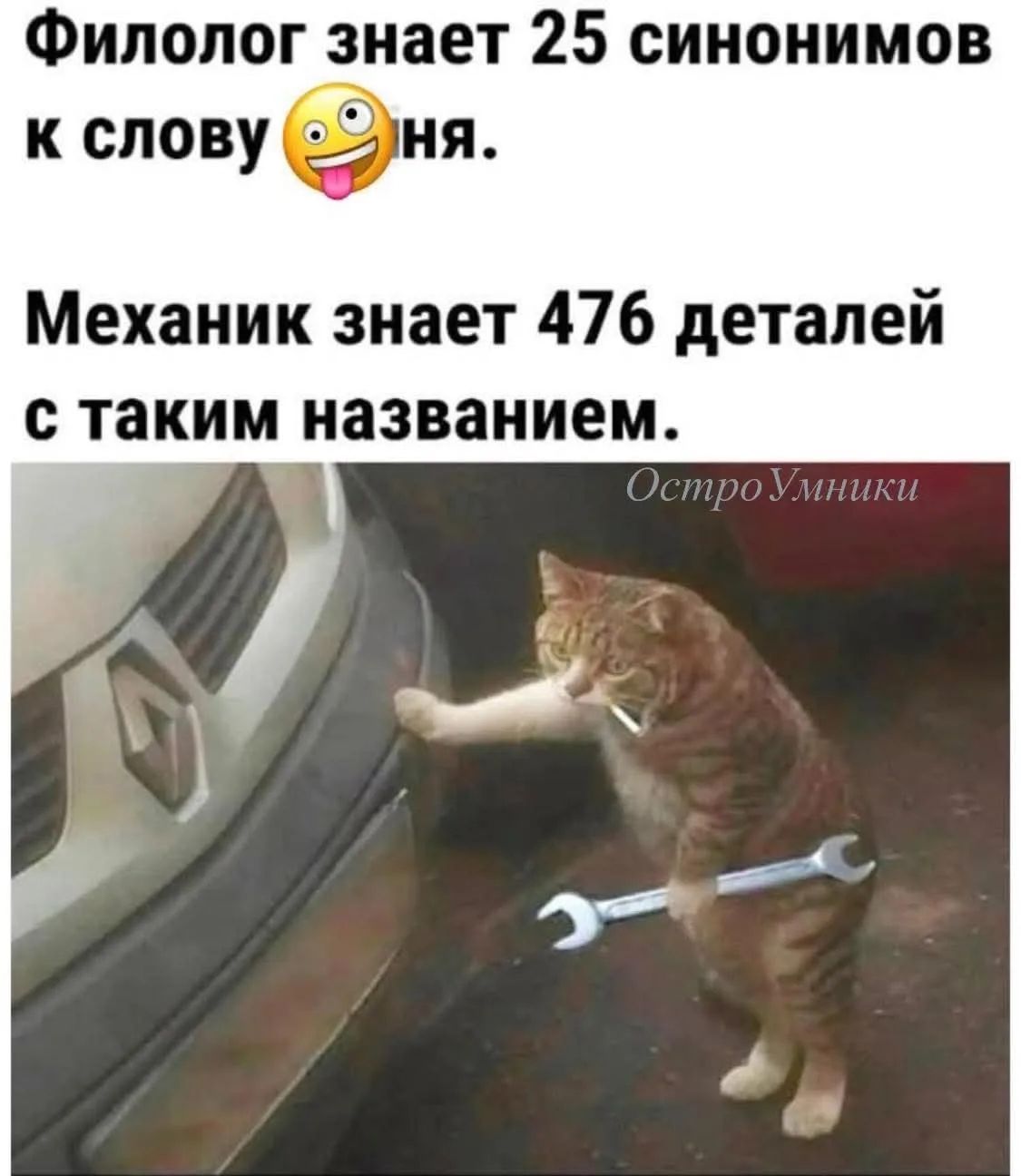 Филолог знает 25 синонимов к слову 🤪ня. Механик знает 476 деталей с таким названием. ОстроУмники