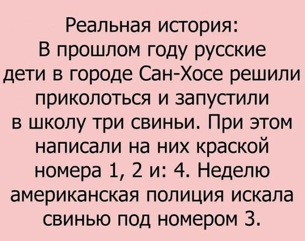 Реальная история:
В прошлом году русские дети в городе Сан-Хосе решили приколоться и запустили в школу три свиньи. При этом написали на них краской номера 1, 2 и: 4. Неделю американская полиция искала свинью под номером 3.