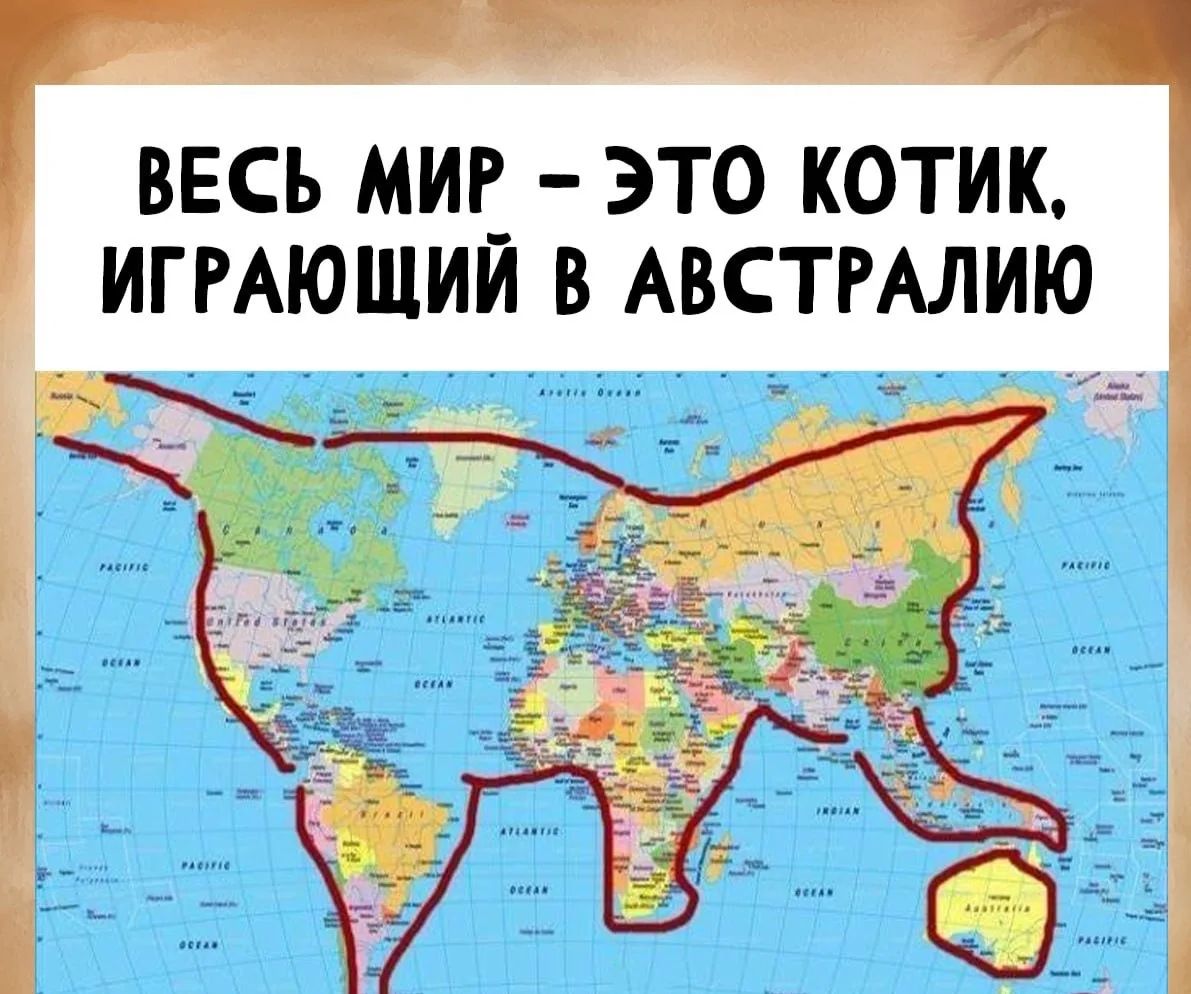 ВЕСЬ МИР – ЭТО КОТИК, ИГРАЮЩИЙ В АВСТРАЛИЮ