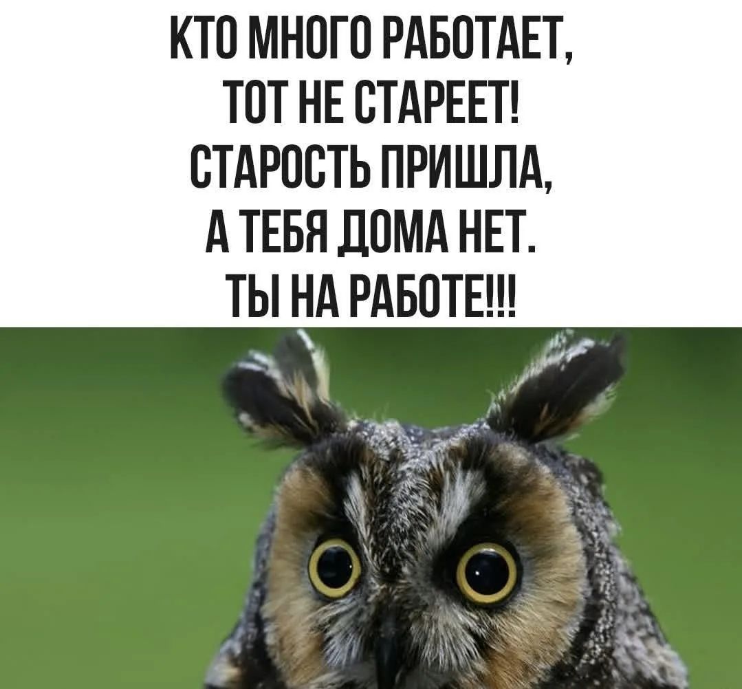 КТО МНОГО РАБОТАЕТ, ТОТ НЕ СТАРЕЕТ! СТАРОСТЬ ПРИШЛА, А ТЕБЯ ДОМА НЕТ. ТЫ НА РАБОТЕ!!!