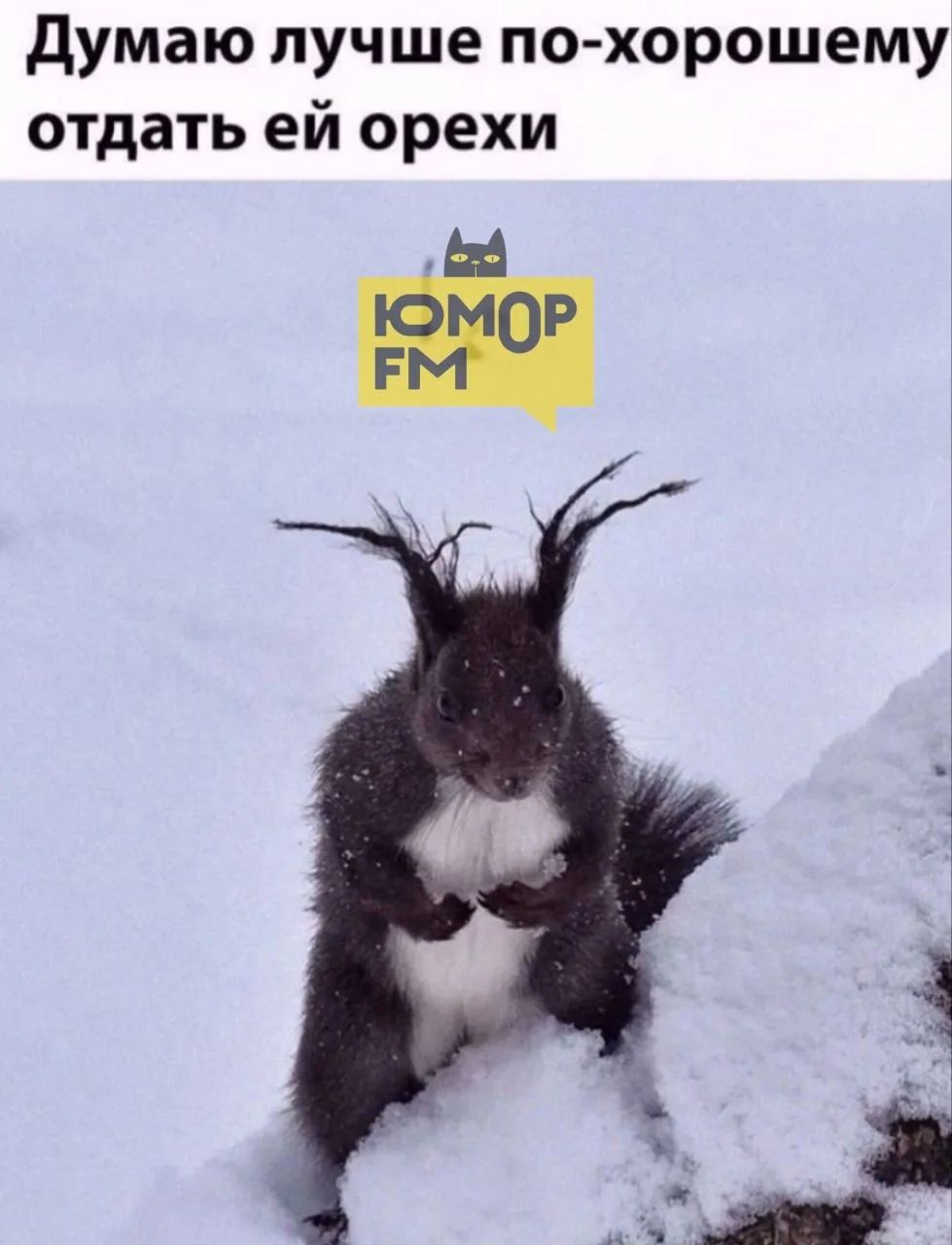 Думаю лучше по-хорошему отдать ей орехи