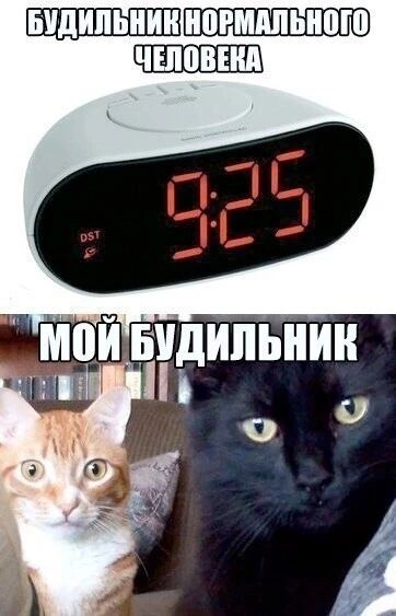 БУДИЛЬНИК НОРМАЛЬНОГО ЧЕЛОВЕКА МОЙ БУДИЛЬНИК