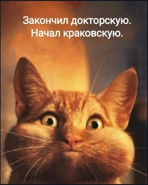 Закончил докторскую. Начал краковскую.