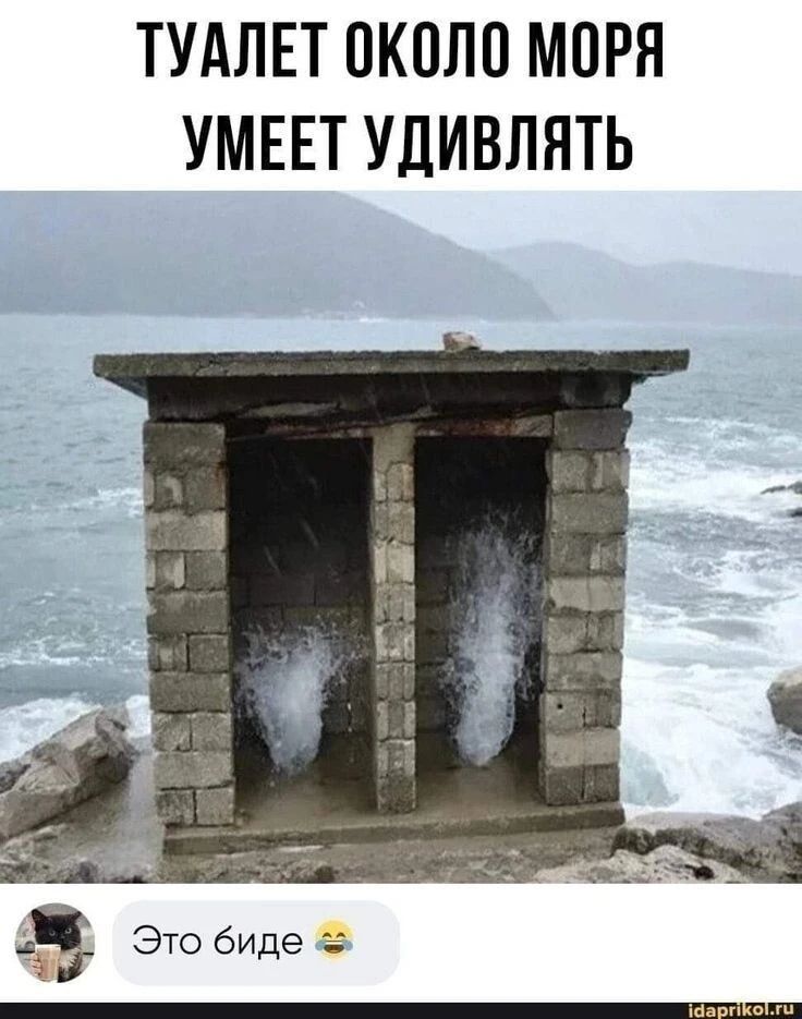 ТУАЛЕТ ОКОЛО МОРЯ УМЕЕТ УДИВЛЯТЬ Это биде 😂