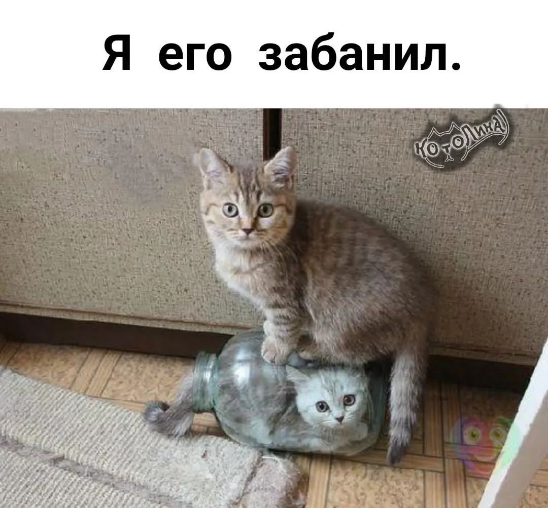 Я его забанил.