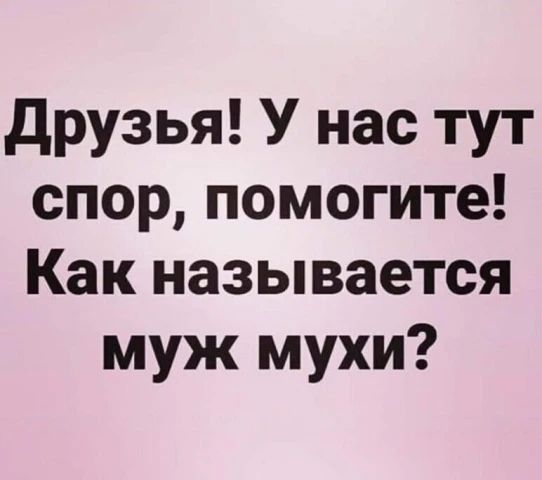 Друзья! У нас тут спор, помогите! Как называется муж мухи?