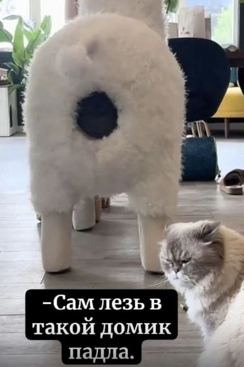 -Сам лезь в такой домик падла.