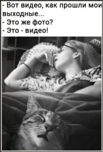 Вот видео, как прошли мои выходные... - Это же фото? - Это - видео!