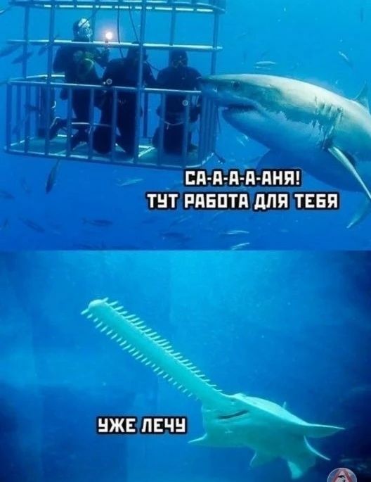 СА-А-А-АНЯ! ТУТ РАБОТА ДЛЯ ТЕБЯ УЖЕ ЛЕЧУ