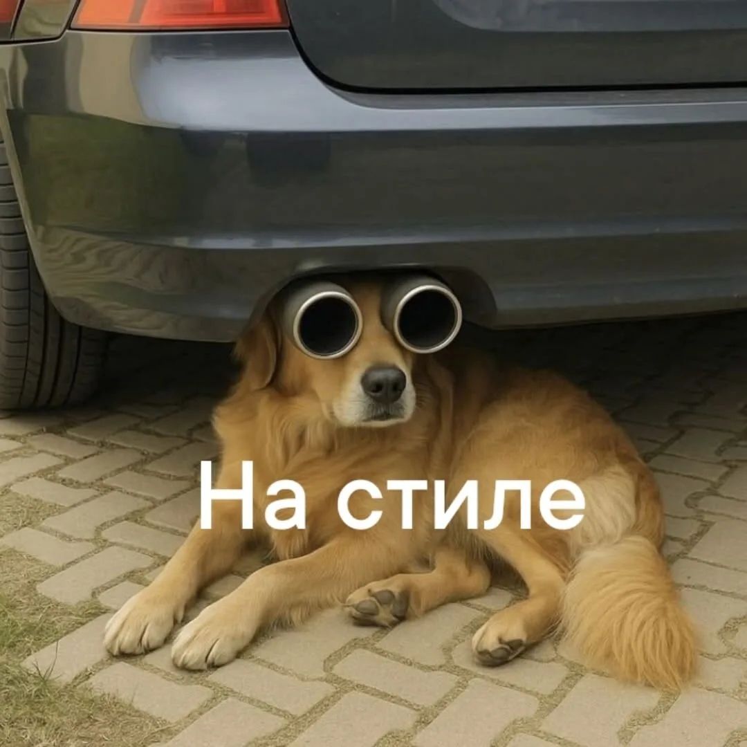 На стиле