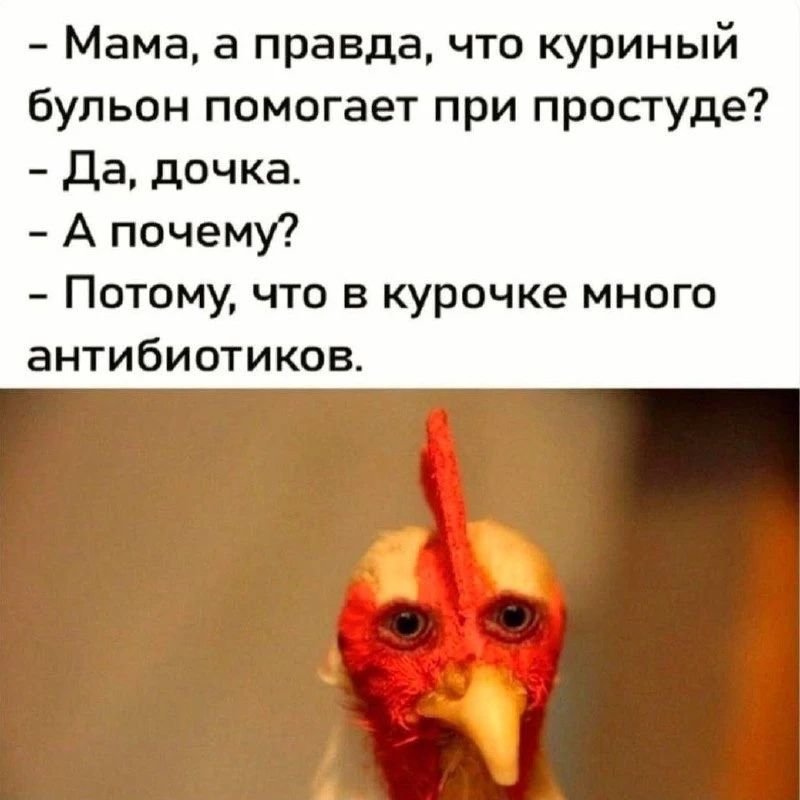 Мама, а правда, что куриный бульон помогает при простуде? - Да, дочка. - А почему? - Потому, что в курочке много антибиотиков.