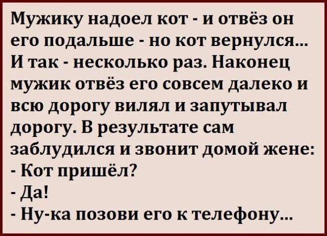 Мужику надоел кот - и отвёз он его подальше - но кот вернулся... И так - несколько раз. Наконец мужик отвёз его совсем далеко и всю дорогу вилял и запутывал дорогу. В результате сам заблудился и звонит домой жене: - Кот пришёл? - Да! - Ну-ка позови его к телефону...