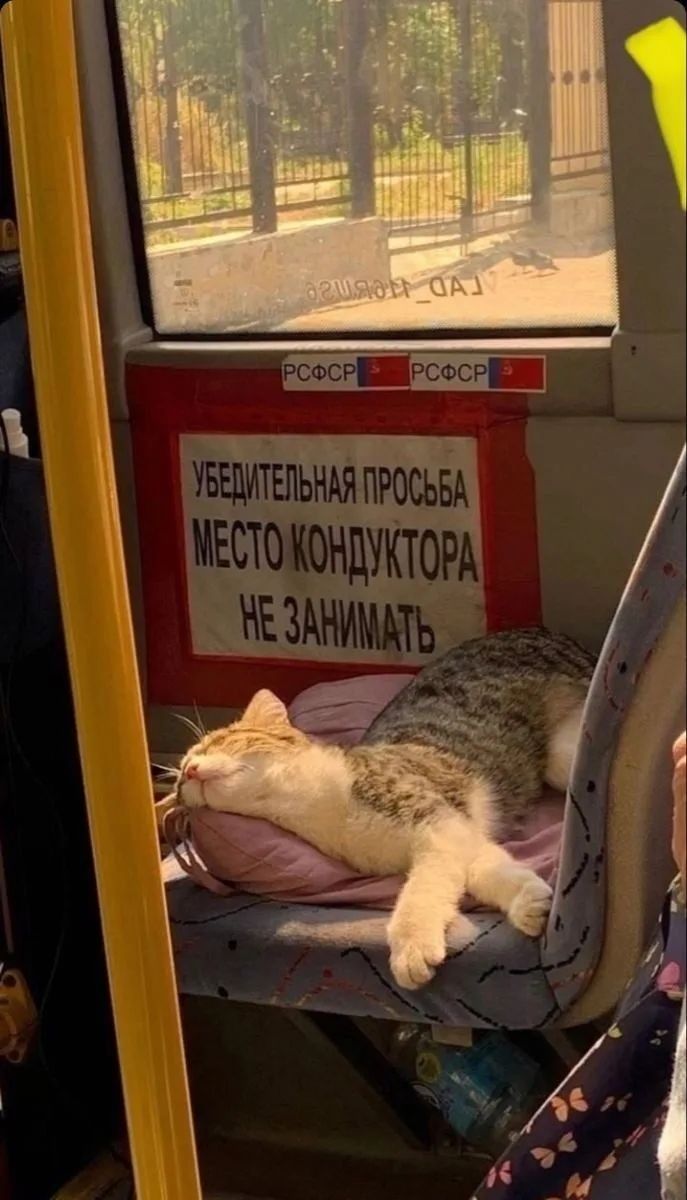 УБЕДИТЕЛЬНАЯ ПРОСЬБА МЕСТО КОНДУКТОРА НЕ ЗАНИМАТЬ РСФСР