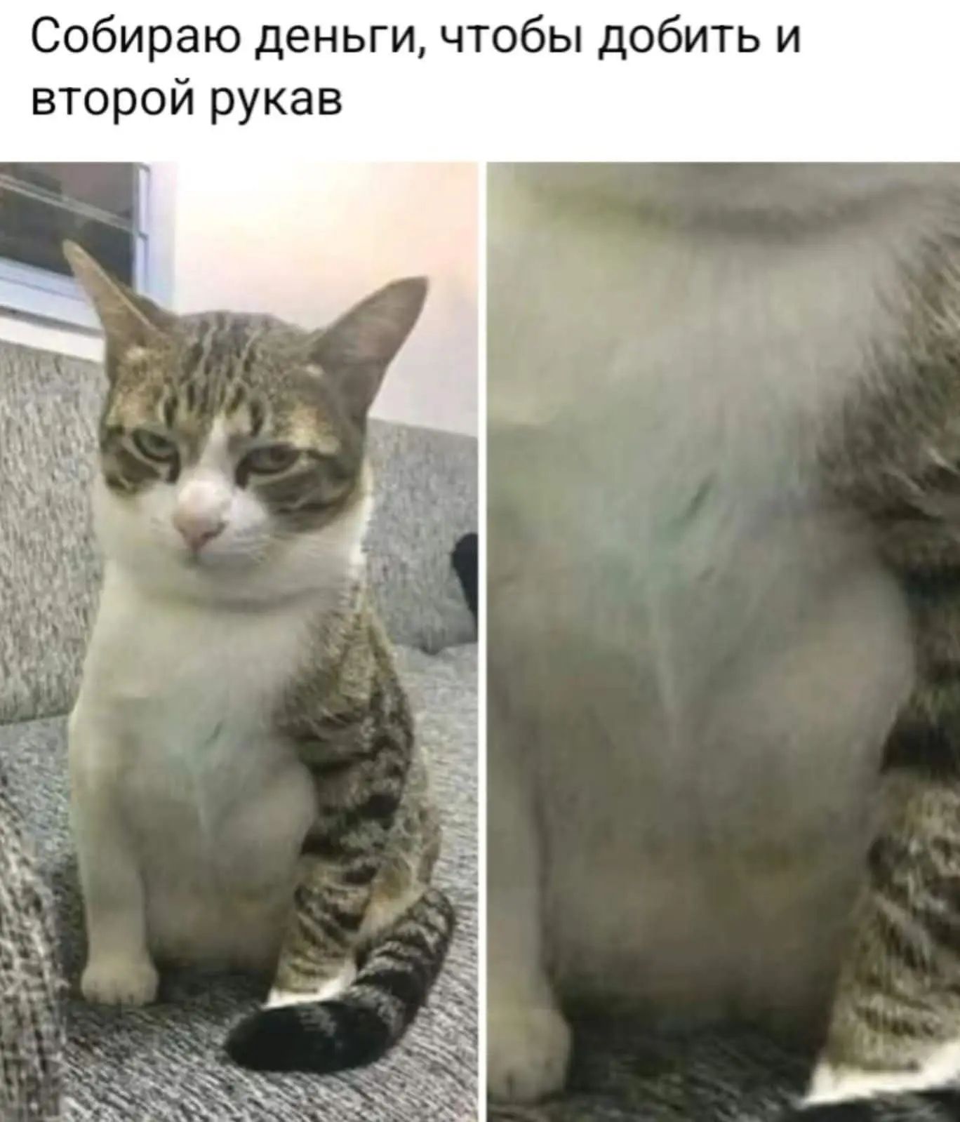 Собираю деньги, чтобы добить и второй рукав