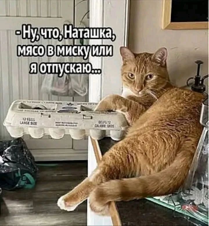 Ну, что, Наташка, мясо в миску или я отпускаю...